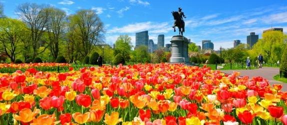 public garden in boston